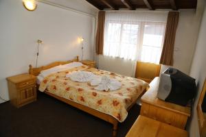 Gallery image of Family Hotel Bisser in Bansko