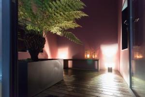 una habitación con una mesa con una planta y luces en Casa Amando, en Somozas