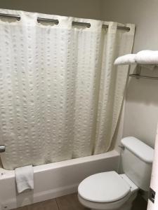 uma casa de banho com um WC e uma cortina de chuveiro em Nogalitos Motel em San Antonio