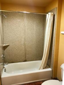 Gallery image of Camino Real Motel in San Antonio