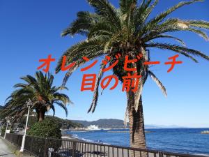 a picture of a palm tree next to the ocean at Izu no ie MOANA in Ito