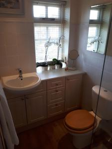baño con lavabo y aseo y ventana en Court Barn Cottage B&B en Burwash