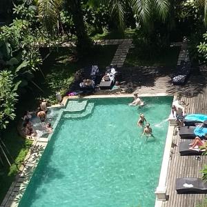 a group of people swimming in a swimming pool at Umalas Apartment in Seminyak