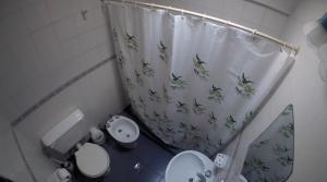 a bathroom with a toilet and a shower curtain at Hostería Chez DidierM in Iruya