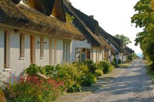 a cobblestone street in a village with houses at Ferienwohnungen im Fischerdorf und in Neu Reddevitz