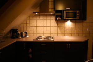 Eldhús eða eldhúskrókur á Apartamenty Starka