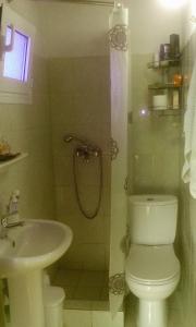 スカラ・ソティロスにあるAnna Georgiouのバスルーム(トイレ、洗面台、シャワー付)