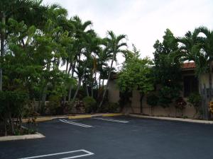 un parking avec des palmiers et un bâtiment dans l'établissement Parkview Motor Lodge, à West Palm Beach