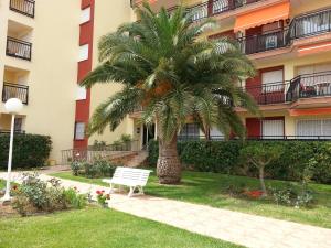 ガンディアにあるMagnificos Apartamentos Ondina en la Primera Linea de la Playa de Gandiaのヤシの木と建物前のベンチ