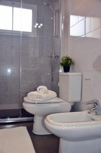 ein Bad mit einem WC, einem Waschbecken und einer Dusche in der Unterkunft Apartamento Playa Blanca Holiday in Puerto del Rosario