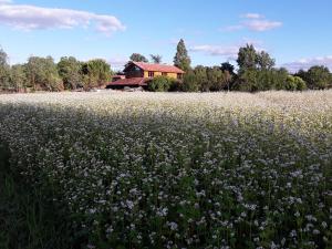 Příroda nedaleko bed and breakfast