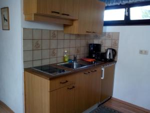 Kuchnia lub aneks kuchenny w obiekcie Apartment Waldhaus Opitz