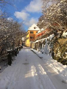 a snow covered street in front of a building at Dichterhaus Dresden in Dresden