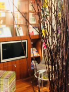 Televiisor ja/või meelelahutuskeskus majutusasutuses Hotel Felmis