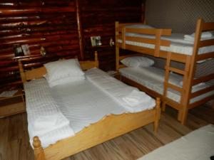 a bedroom with two bunk beds and a ladder at Apartments Izvor Lisine in Strmosten