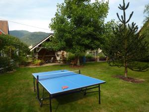 a ping pong table in a yard with a tree at Gîte La Charmaie in Husseren-Wesserling