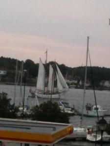 a group of boats with white sails in the water at Holsthuset Losji in Grimstad