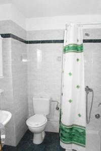 a bathroom with a toilet and a shower curtain at Starvillas Apartments and Studios in Agia Effimia