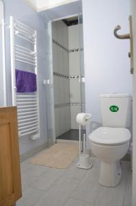 a white bathroom with a toilet and a shower at Mas du Puech Cymbale in Assas +31 photos