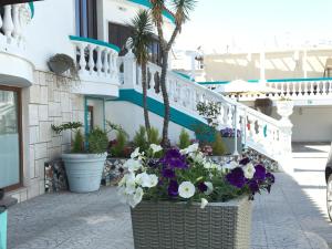 Foto sihtkohas Monte di Procida asuva majutusasutuse Residence R&B Tyrrhenum galeriist