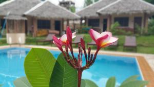 Bassein majutusasutuses Rubin Resort või selle lähedal