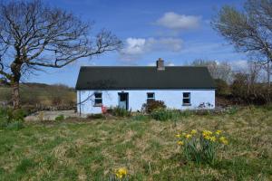 una casa blanca con un techo negro en un campo en Marsh Cottage F91 N4A9 en Moneygold