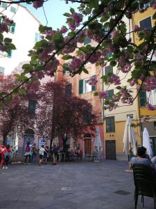 een groep mensen zittend in stoelen op een binnenplaats met roze bloemen bij Lavagna Uno in Genua