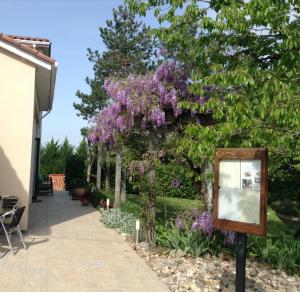 a wisteria tree with purple flowers in a yard at La Pierre Blanche in La Sauvetat-sur-Lède