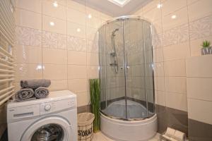 Apartament nad Drwęcą II tesisinde bir banyo