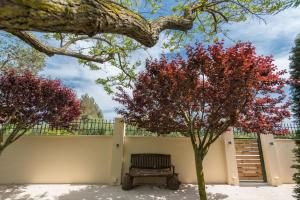 Zahrada ubytování Casa Giardino