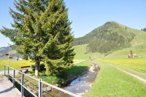 Příroda nedaleko penzionu – hostince