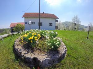 Jardín al aire libre en House Špehar