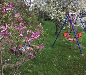a swing set in a yard with pink flowers at Vogelhaus Rosenthal in Rosenthal