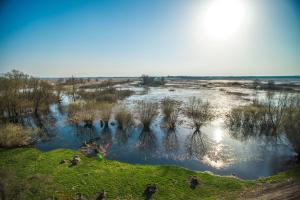 Przyroda w pobliżu tej kwatery prywatnej