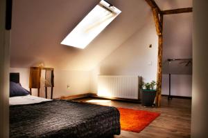 a bedroom with a bed and a large skylight at Cotton Loft in Alba Iulia