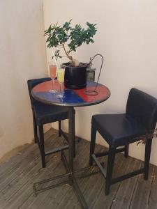 una mesa con una maceta y dos copas de vino en Gîte Les Roseaux Spa extérieur privatif inclus, en Moussan