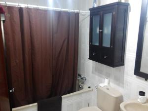 a bathroom with a toilet and a brown shower curtain at Andrea´s place in Ciudad Real