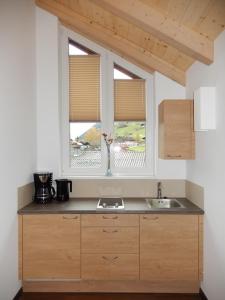 a kitchen with a sink and a window at ff Appartements in Bramberg am Wildkogel