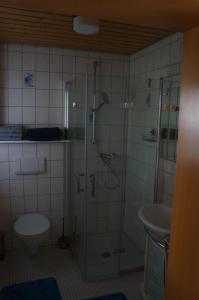 バート・クロツィンゲンにあるFritzのバスルーム(シャワー、トイレ、シンク付)