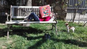 Domácí mazlíčci ubytovaní s hosty v ubytování B&B Campu Moru