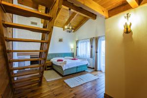 a bedroom with a bunk bed and a ladder at Samedru in Măgura