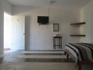 塔馬索波的住宿－Hotel Pedregal，卧室配有一张床,墙上配有电视。