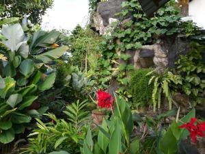 Photo de la galerie de l'établissement Shiva House, à Ubud