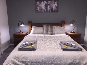 Lidster的住宿－Swagmans Homestead，一间卧室配有一张带两个枕头的床