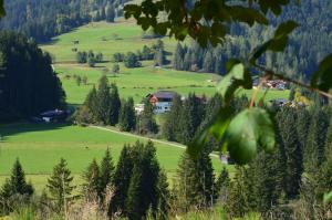 Blick auf ein grünes Feld mit Häusern und Bäumen in der Unterkunft Apartment Tennengebirge in Sankt Martin am Tennengebirge