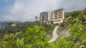 Naturlandskabet i nærheden af lejligheden