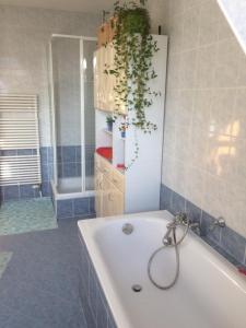 Ванна кімната в Haus Sonnenstein