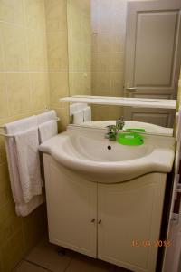 サン・ポール・レ・ダックスにあるRésidence Hotelière Les Acanthesのバスルーム(白い洗面台、鏡付)