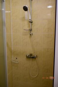 サン・ポール・レ・ダックスにあるRésidence Hotelière Les Acanthesのバスルーム(シャワー、シャワーヘッド付)が備わります。