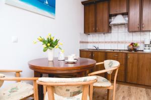 Kuchyňa alebo kuchynka v ubytovaní Apartment Olymp